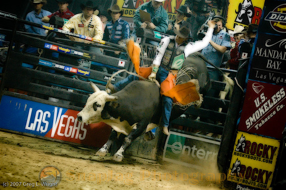 Professional Bull Riders