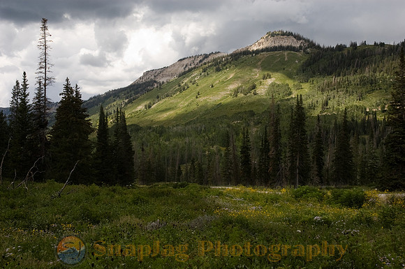 Mt. Baldy Under Siege