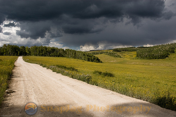 Road from Despair